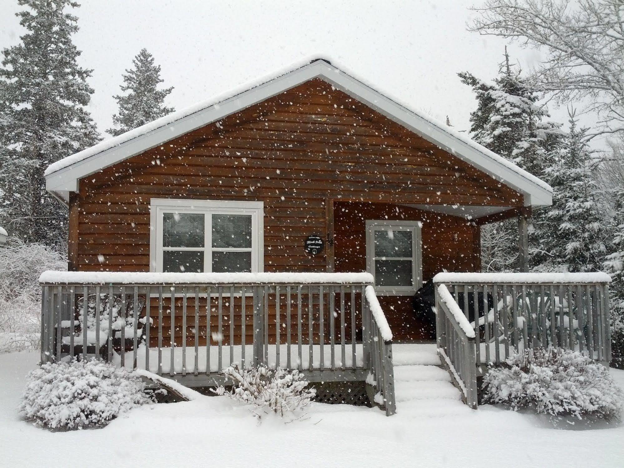 Anchorage House And Cottages ハリファックス エクステリア 写真